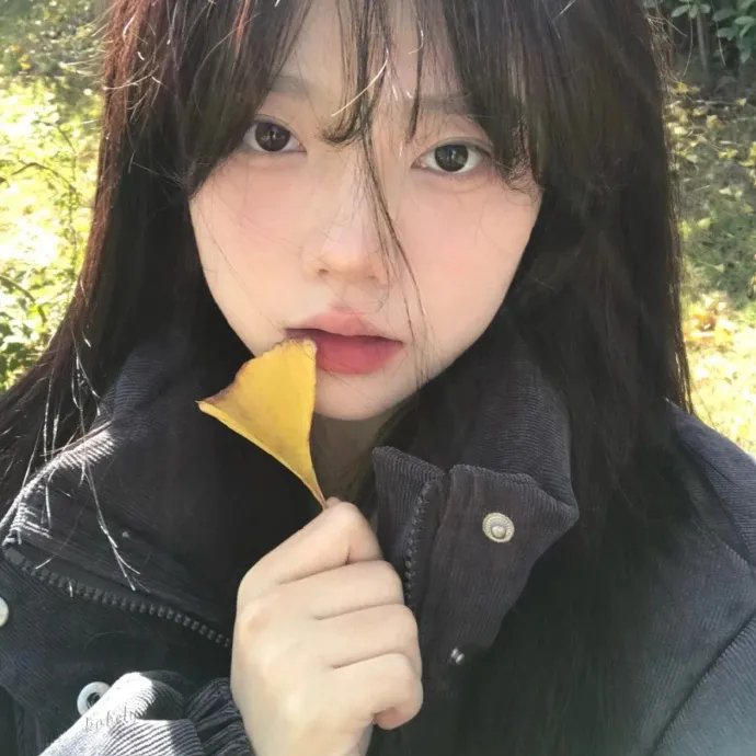孤岛终结